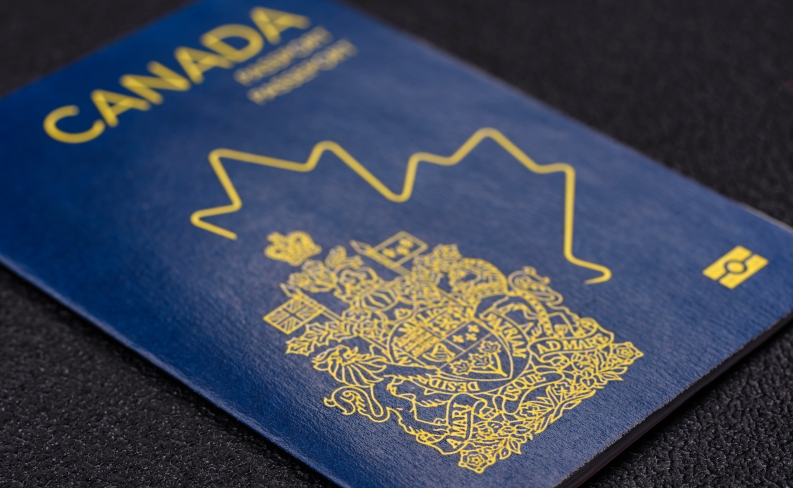 Immigration Support